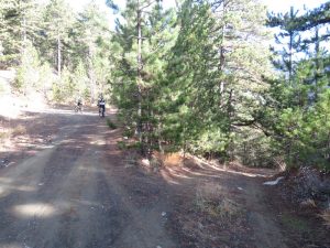 CYCLING 1