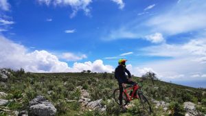 CYCLING 5
